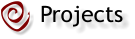Page Title